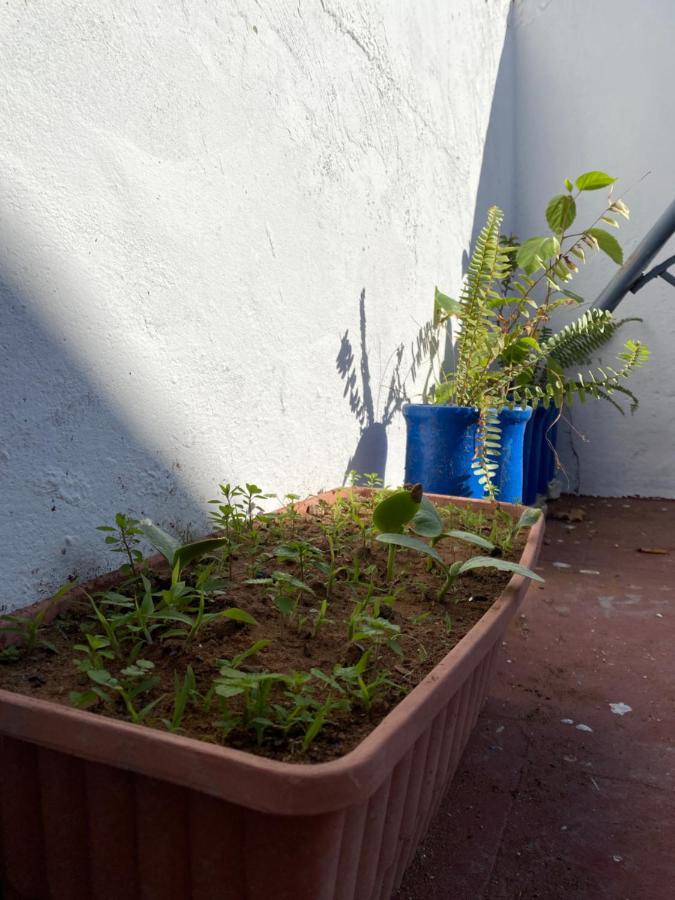 Apartament House Albahara Oudayas Rabat Zewnętrze zdjęcie